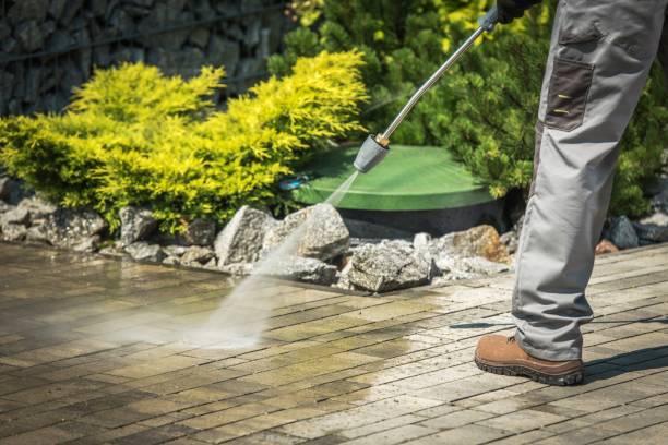 Best Soft Washing  in Augusta, AR