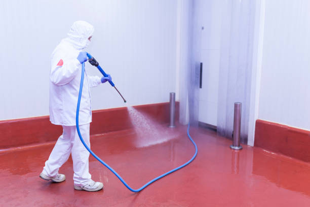 Best Warehouse Cleaning  in Augusta, AR
