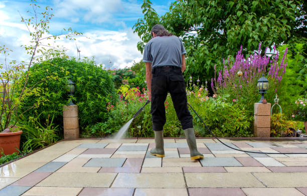 Best Animal Enclosure Cleaning  in Augusta, AR