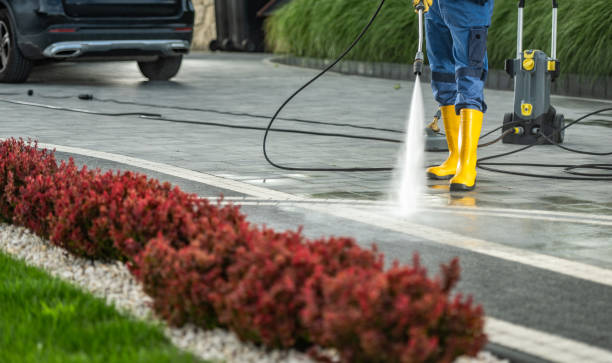 Best Driveway Pressure Washing  in Augusta, AR